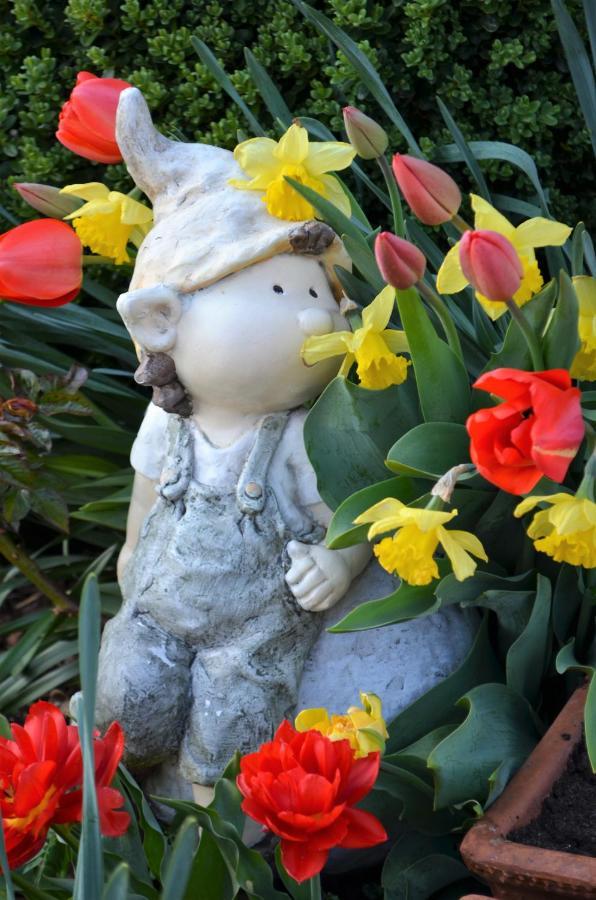 Zimmervermietung Groeberhof シェーナ エクステリア 写真