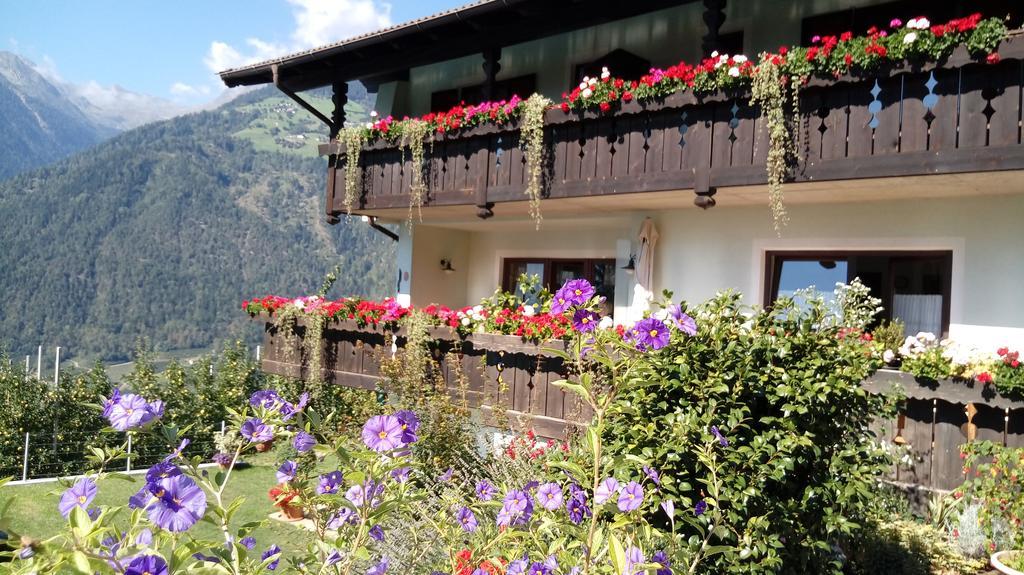 Zimmervermietung Groeberhof シェーナ エクステリア 写真